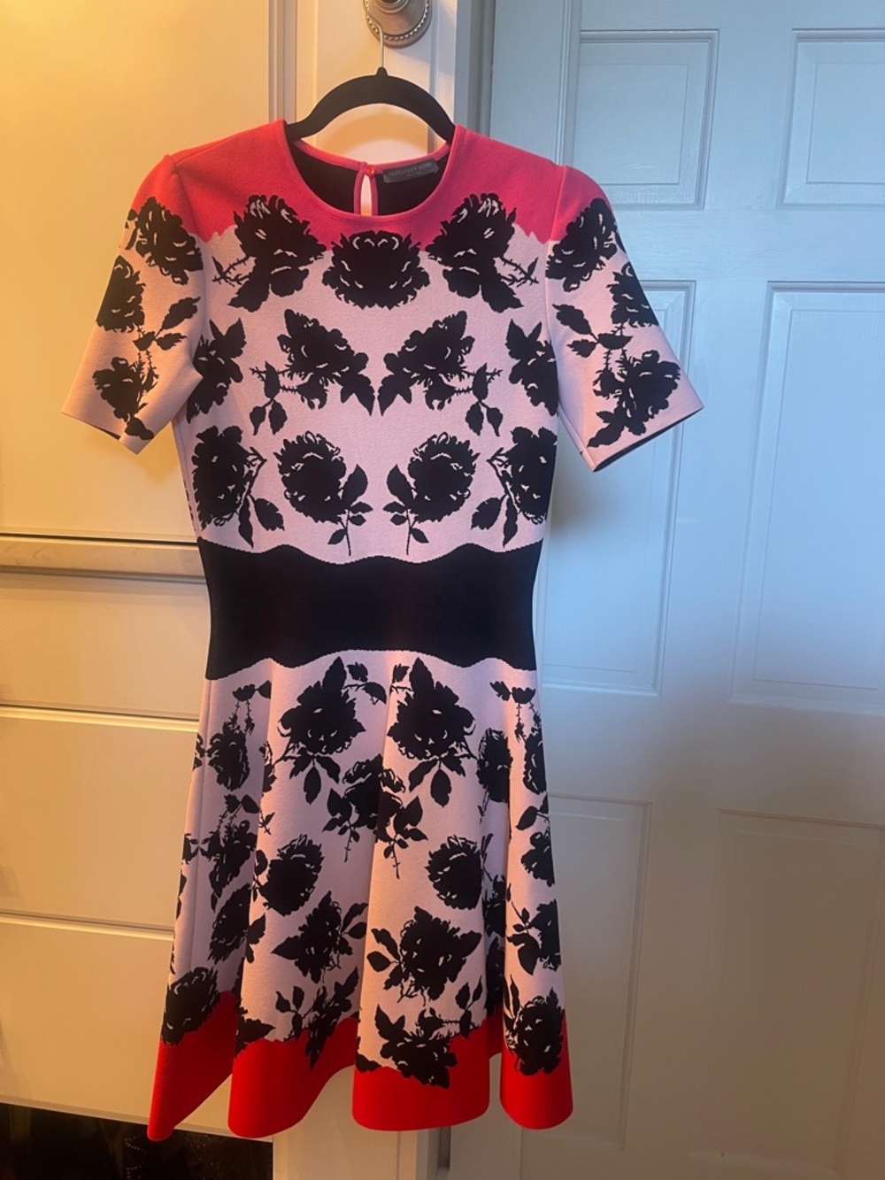 Alexander McQueen Pink and Black Floral Fit-and-Flare Dress with Red Trim